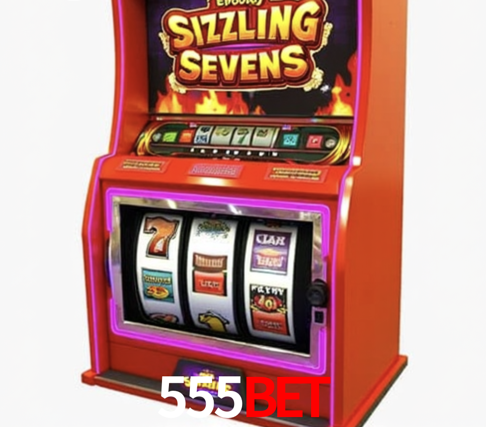 Security Systems 555bet